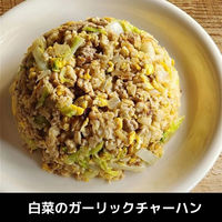 スポーツエキスパート HighーProtein オートミールライス 500g1袋 日本食品製造