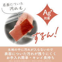 キッチンスポンジ ザララ 汚れをするんと落とすスポンジ 抗菌 マロン 日本製 1セット（1個×10）キクロン