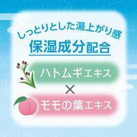 入浴剤 クールいい湯旅立ち　納涼にごり湯の宿 4種アソート にごり湯タイプ 1セット（1箱（8包入）×3）医薬部外品 白元アース