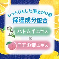 いい湯旅立ち ボトル 納涼にごり湯 八朔の香り 温泉成分配合 にごり湯タイプ 500g 1セット（1個×3） 医薬部外品 白元アース