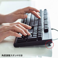 サンワサプライ 日本語109キーボード ブラック SKB-109PBK 1台（わけあり品）