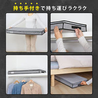 アストロ 活性炭着物収納ケース スリム 171-66 1セット(1個×10)（直送品）