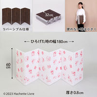 アストロ リサとガスパール ガードボード 900-55 1セット(2枚入×10)（直送品）