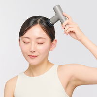 ドリームファクトリー エクサガンLUXE ダスティーグレー REG-12 GR 1台