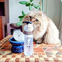 ナチュラル ペット用 食器洗剤 本体 200ml 1本 猫壱