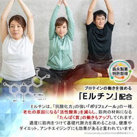 森永製菓　inバー（インバー） プロテイン カフェオレ　1セット（12本）　栄養補助食品