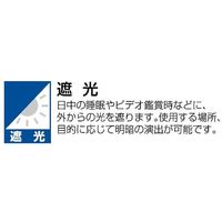 川島織物セルコン ウォッシャブル 防炎 遮光 ドレープカーテン DD1178S 1000×2000mm イエローグリーン 1枚（直送品）