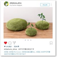 萩原 リアル芝生風 もちもちクッション シーヴァ Mサイズ 幅600×高さ110mm 240622995 1枚（直送品）