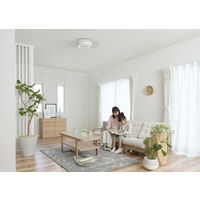 アイリスオーヤマ LEDシーリングライト 導光板 調光調色 12畳 5200lm CEA-A12DLP 1台