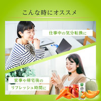 カゴメ 野菜生活100 本日の逸品 北海道富良野メロンミックス 195ml 1セット（48本）