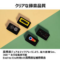 iFLYTEK VOITER mini A1J 1台