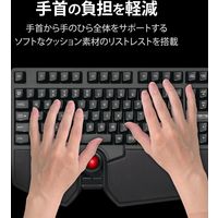 ワイヤレスキーボード トラックボール付 リストレスト付 高耐久 USBハブ付 ブラック TK-TB01DMBK エレコム 1個