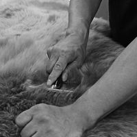 ムートンフリース リペア 修復あり ムートンラグ アウトレット トープ（直送品）