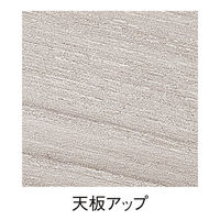 ストア・エキスプレス キャスター付きミーティングテーブル グレーオーク 23345-110 1台 61-830-85-1（直送品）