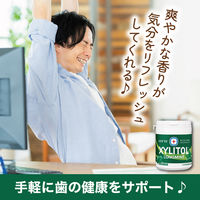 ガム 大容量 キシリトールガム ロングミント オリジナルミント ファミリーボトル 133g 1セット（1個×3）