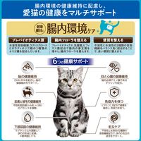 i CARE（アイケア）腸内環境ケア 成猫用 フィッシュ味 国産 1.2kg（300g×4袋）3袋 アイシア キャットフード
