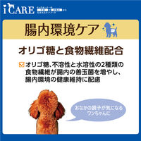 i CARE（アイケア）腸内環境ケア ささみ とろみタイプ 国産 40g 6袋 アイシア ドッグフード ウェット パウチ