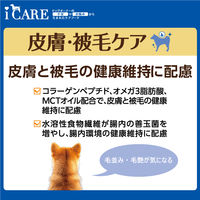 i CARE（アイケア）皮膚・被毛ケア ささみ とろみタイプ 国産 40g 6袋 アイシア ドッグフード ウェット パウチ