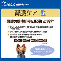 i CARE（アイケア）腎臓ケア ささみ とろみタイプ 国産 40g 6袋 アイシア ドッグフード ウェット パウチ