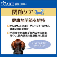 i CARE（アイケア）関節ケア ささみ とろみタイプ 国産 40g 6袋 アイシア ドッグフード ウェット パウチ
