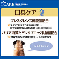 i CARE（アイケア）口臭ケア ささみ とろみタイプ 国産 40g 6袋 アイシア ドッグフード ウェット パウチ