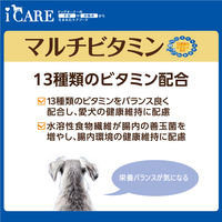 i CARE（アイケア）マルチビタミン ささみ とろみタイプ 国産 40g 6袋 アイシア ドッグフード ウェット パウチ