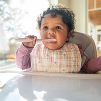 aden + anais　エイデンアンドアネイ スナップビブ カントリーフローラル 1セット（3枚入）ダッドウェイ