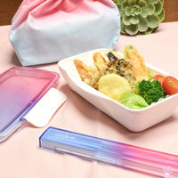 合同会社ビランク 弁当箱 500ml シエルプレ 1段 ランチボックス サックスピンク 479788 1個（直送品）