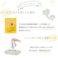 ウェットシート 超厚手ウェットシート 除菌ノンアルコールタイプ 本体 1セット（40枚入×4パック） ETPI