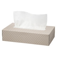 ダメージ画像有】ティッシュペーパー 200組 （5箱入） オリジナルティッシュ モカ 5カラー 1パック（5箱入） アスクル オリジナル（わけあり品）