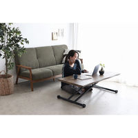 【軒先渡し】東馬 KRM 昇降テーブル 幅1200×奥行600×高さ240mm ブラウン 54686110 1台（直送品）