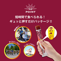 井村屋　スポーツようかん　あずき　1箱（5本入）　スティックタイプ
