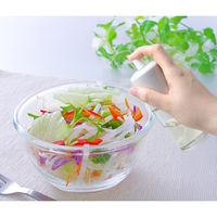 清水産業株式会社 加圧式オイルミストスプレー 120893 1個（直送品）