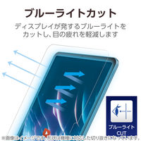 エレコム 11インチ iPad Pro (M4) ガラスフィルム 高透明 TB-A25PMFLGARBL 1個