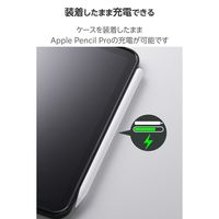 エレコム iPad miniケース 8.3インチ(A17Pro) 耐衝撃 背面クリア TB-A25STSLOBK 1個