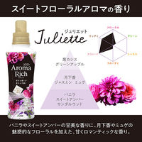 ソフラン アロマリッチ ジュリエット 詰め替え 特大 950ｍL 1箱（6個入） 柔軟剤 ライオン (旧品)