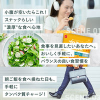 おやつカンパニー　プロテインスナック カレー味 BODY STAR（ボディスター） 1セット（1袋（40g）×12）