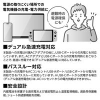 多摩電子工業 AC出力式付きリチウム充電器27000 通常PKG TLP155K 1台