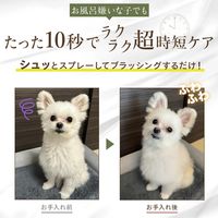 HUGG グルーミング ドライ シャンプー 犬・猫用 本体 国産 300ml 1本 アルカス