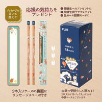 プラス 鉛筆 えんぴつ 2B 5角 （五角） 限定 受験生応援 41089 1セット（2本入）