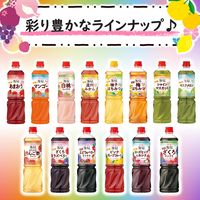 業務用フルーティス りんご酢マスクメロン（6倍濃縮タイプ）1000ml 1セット（1個×8） ミツカン 大容量 飲むお酢 リンゴ酢