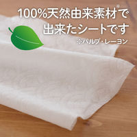 ウェットティッシュ エリエール ポケットウエットティシュー 99％純水 トイレに流せるタイプ 携帯用 1セット（1パック(7枚×6個入)×3）大王製紙