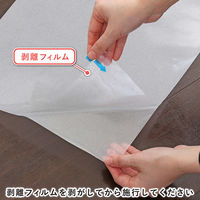 アストロ 水で貼れる! 窓用フィルム すりガラス調 730-65 1セット(3枚入×10)（直送品）