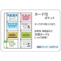 ワールドクラフト シルバーファイル A4サイズ グリーン SF-101-GR 1冊