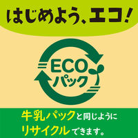 伊藤園 充実野菜 100億個の乳酸菌ミックス エコパック 紙パック 200ml 1セット（48本）【野菜ジュース】