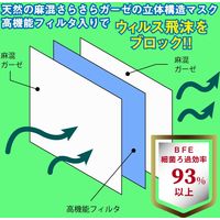 iiもの本舗 さわやかマスク 麻&綿生地 敏感肌用 グレー フリーサイズ 1枚入 4589596692999 1枚入×5セット（直送品）