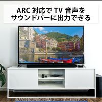HDMIケーブル 4K/Ultra HD対応 プレミアム PS5対応 2m 黒 GM-DHHDPS14E20B エレコム 1個