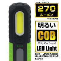 朝日電器 LED防雨ワークライト DOP-WL20(G) 1個