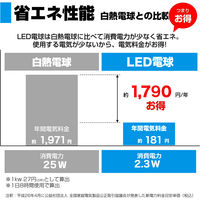朝日電器 LED電球 ミニクリプトン形 LDA2D-G-E17-G4101 1個
