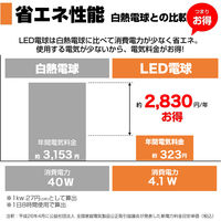 朝日電器 LED電球 ミニクリプトン形 LDA4L-G-E17-G4104-2P 1箱(2個入)